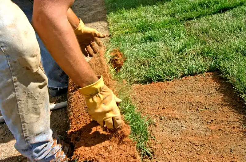 Hvor meget koster landskabspleje?
