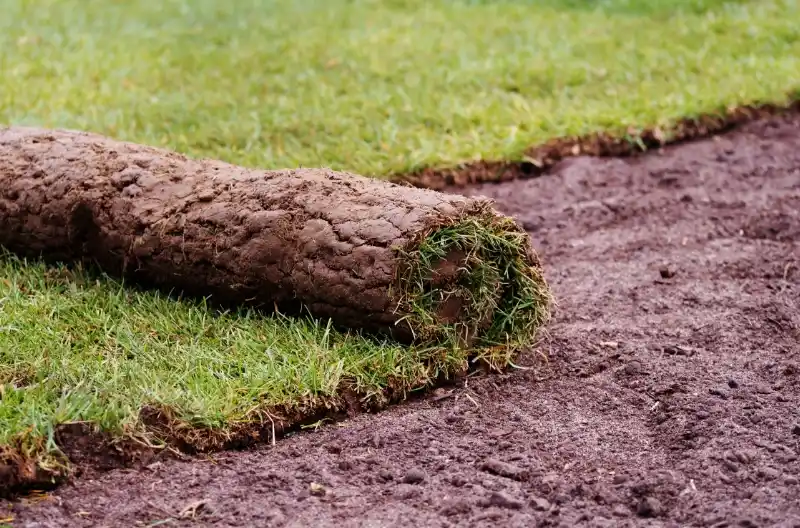 Hvad koster lægning af rullegræs?