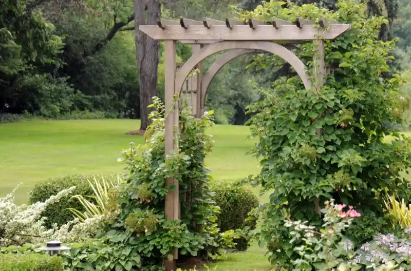 Hvor meget koster det at bygge et espalier?