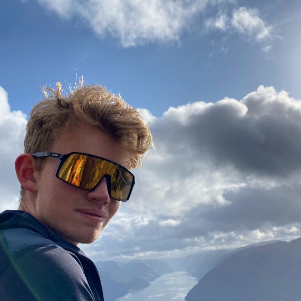 Opgaveejer for løst opgaver online