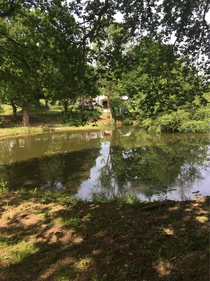 Opgaveejer for løst opgaver online