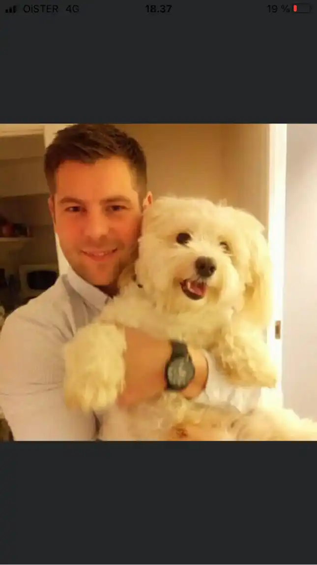 Opgaveejer for løst opgaver online