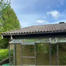 comment.user?.profileImg