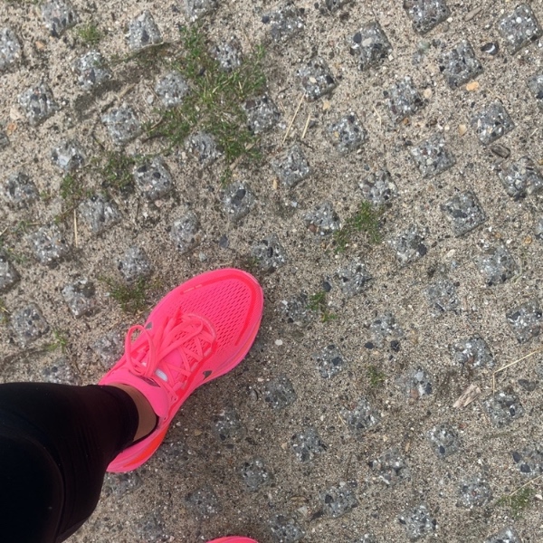 comment.user?.profileImg