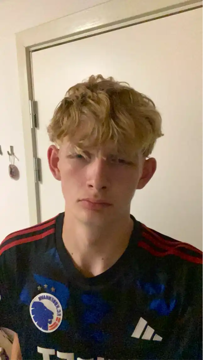 Opgaveejer for løst opgaver online