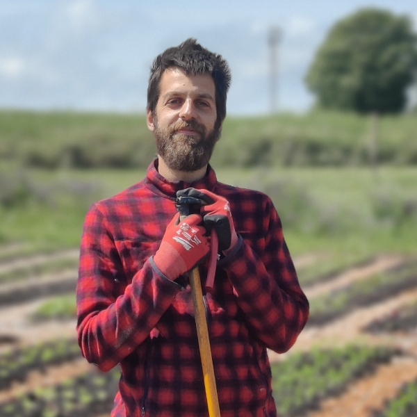 Opgaveejer for løst opgaver online