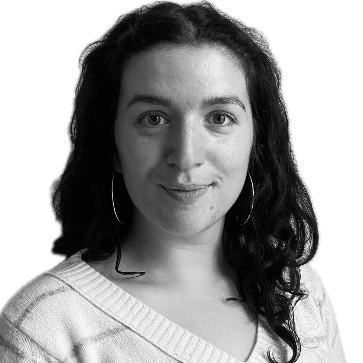 Opgaveejer for løst opgaver online