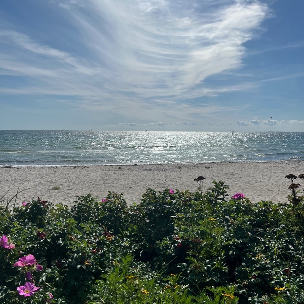 comment.user?.profileImg