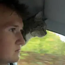 Opgaveejer for løst opgaver online