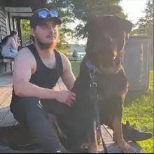 Opgaveejer for løst opgaver online