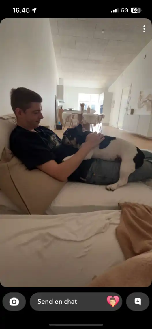 Opgaveejer for løst opgaver online