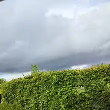 Opgaveejer for løst opgaver online