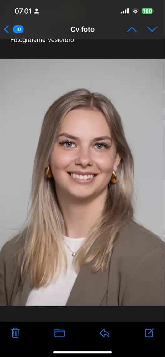 Opgaveejer for løst opgaver online