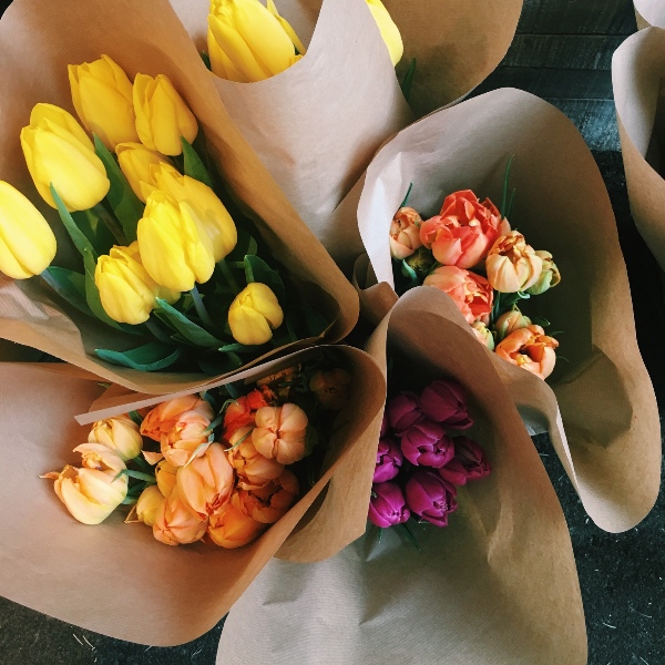 comment.user?.profileImg