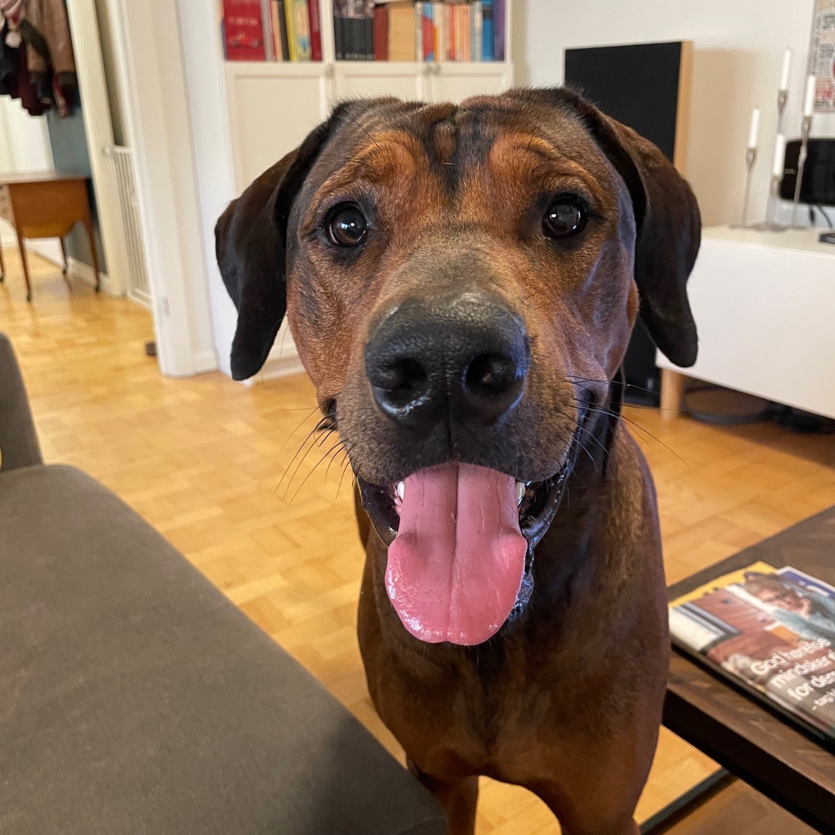 comment.user?.profileImg