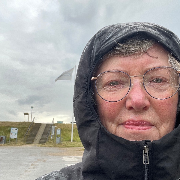 comment.user?.profileImg