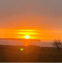 comment.user?.profileImg