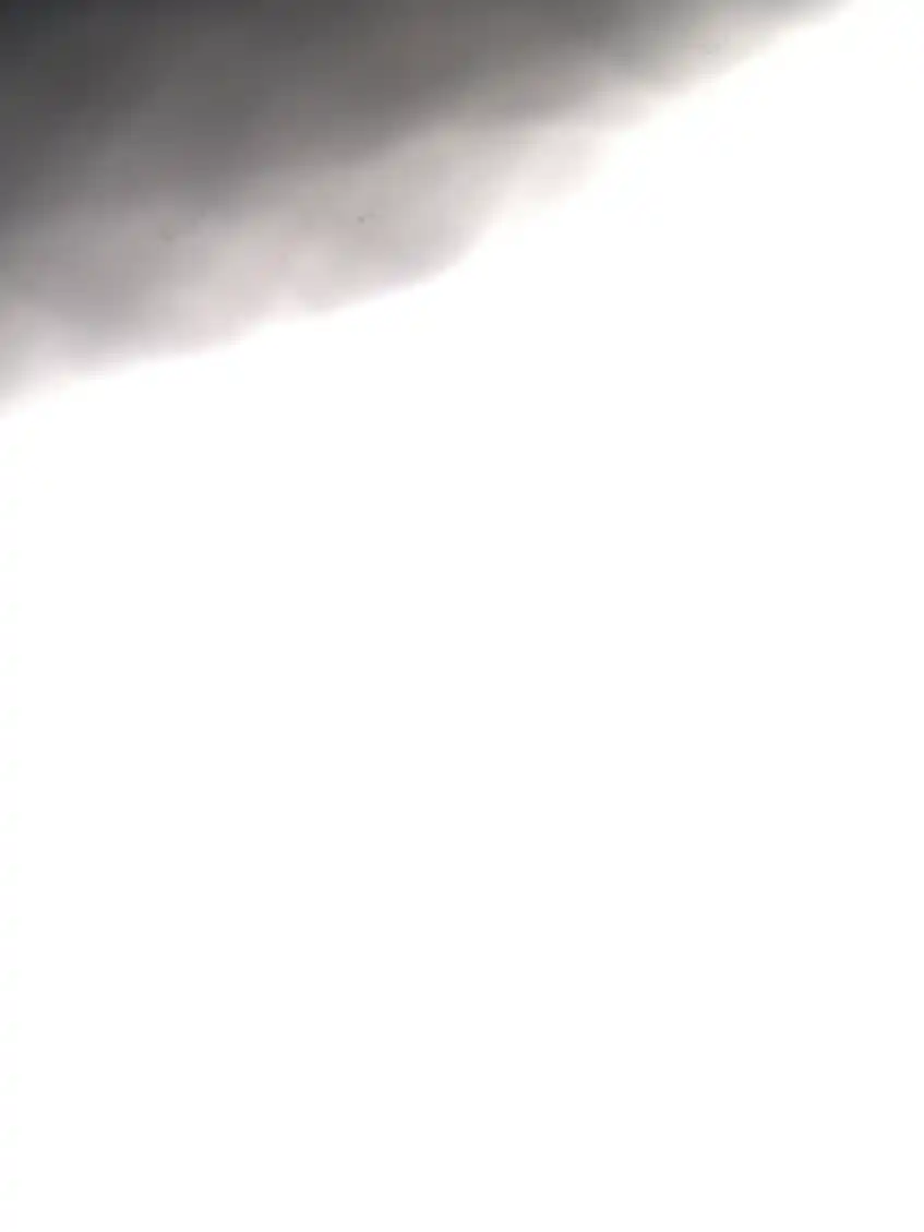 Opgaveejer for løst opgaver online