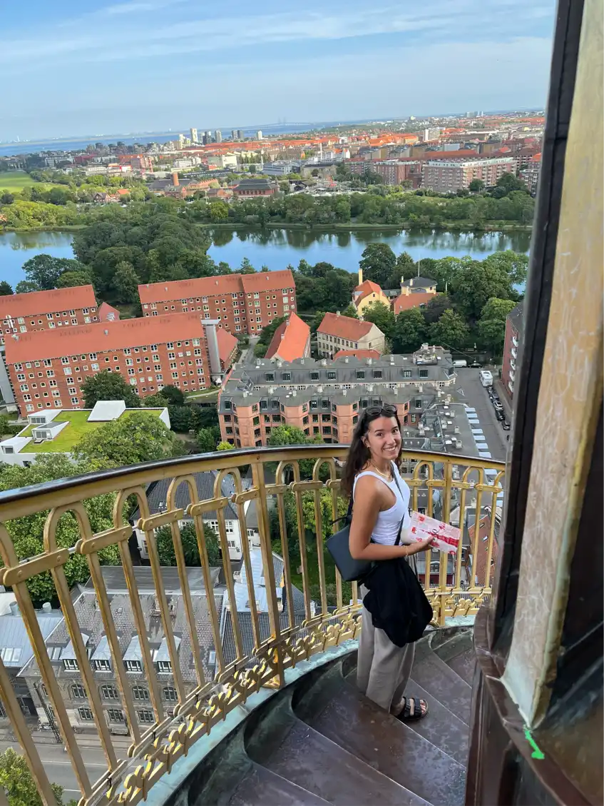 Opgaveejer for løst opgaver online