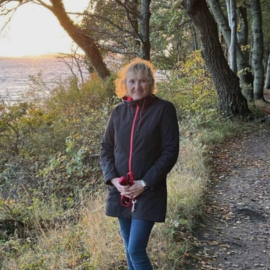 comment.user?.profileImg