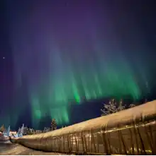 Opgaveejer for løst opgaver online