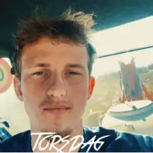 Opgaveejer for løst opgaver online