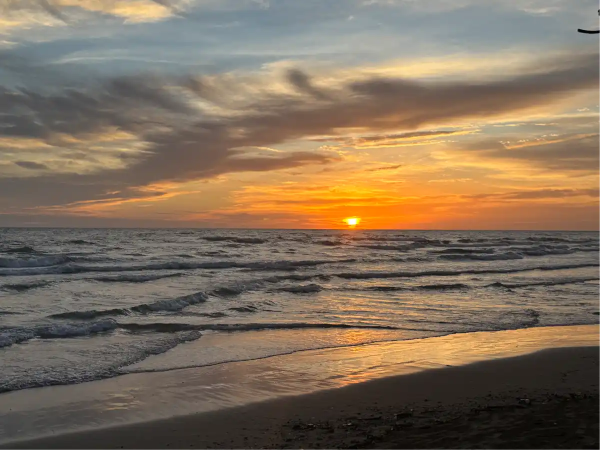 Opgaveejer for løst opgaver online