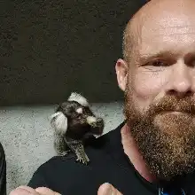 Opgaveejer for løst opgaver online