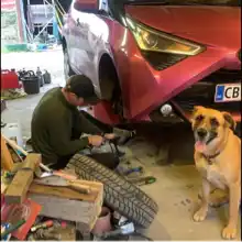 Opgaveejer for løst opgaver online