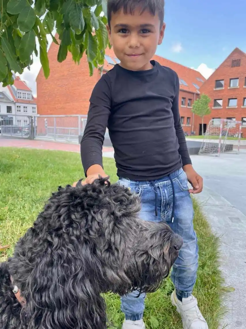 Opgaveejer for løst opgaver online