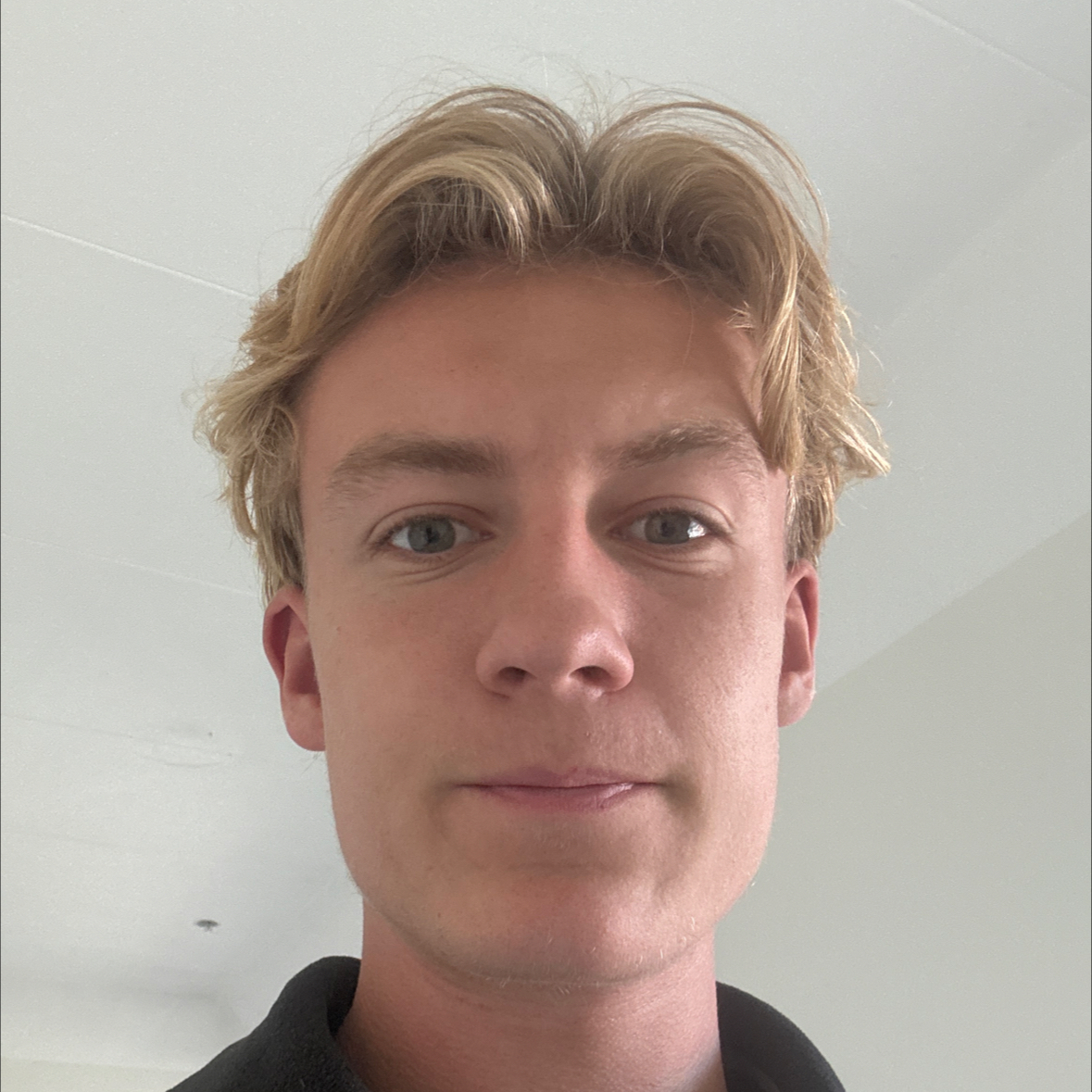 Opgaveejer for løst opgaver online
