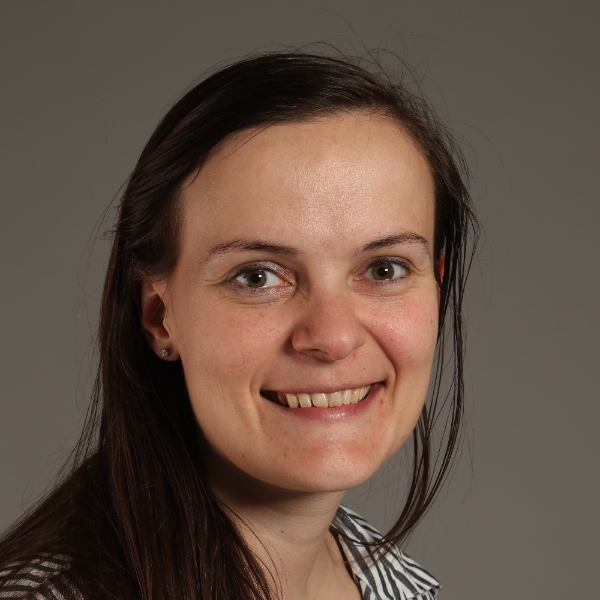 comment.user?.profileImg