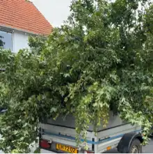 Opgaveejer for løst opgaver online