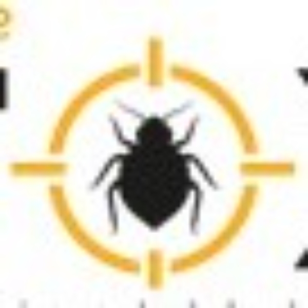 Opgaveejer for løst opgaver online