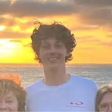 Opgaveejer for løst opgaver online