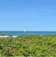 comment.user?.profileImg