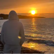 Opgaveejer for løst opgaver online