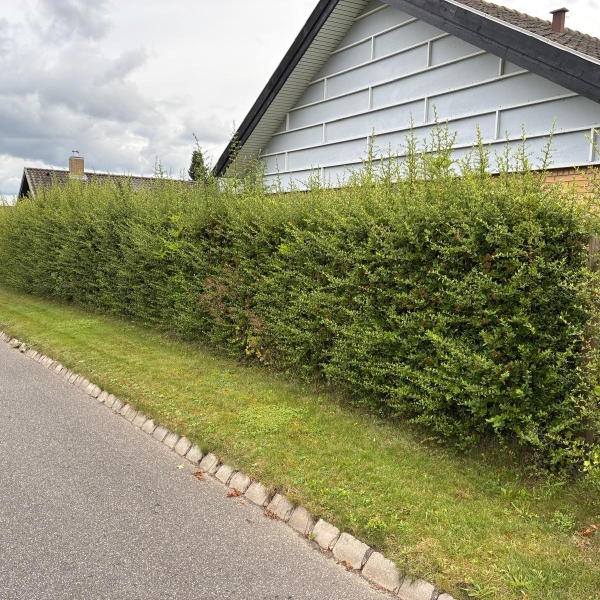 comment.user?.profileImg