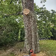 Opgaveejer for løst opgaver online