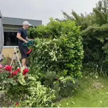 Opgaveejer for løst opgaver online