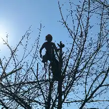 Opgaveejer for løst opgaver online