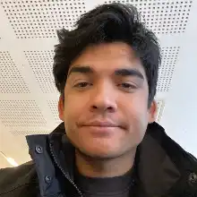 Opgaveejer for løst opgaver online