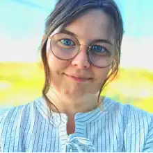 Opgaveejer for løst opgaver online