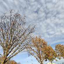 comment.user?.profileImg