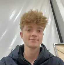 Opgaveejer for løst opgaver online