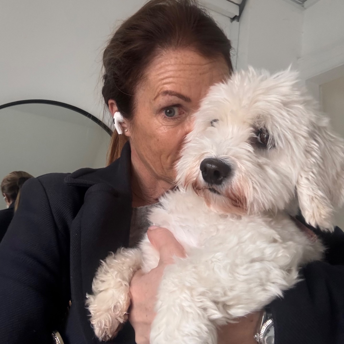 comment.user?.profileImg