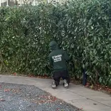 Opgaveejer for løst opgaver online