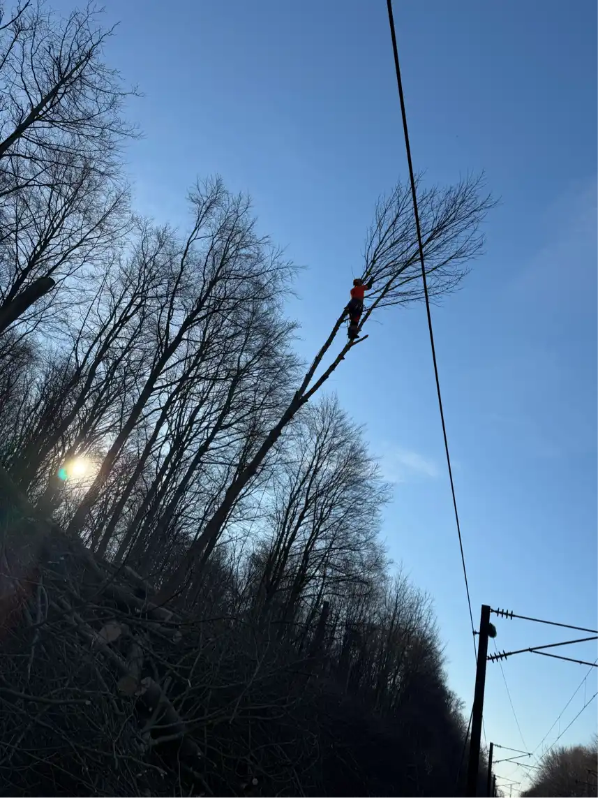 Opgaveejer for løst opgaver online