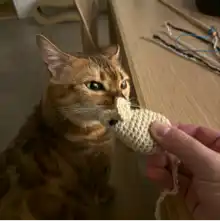 Opgaveejer for løst opgaver online