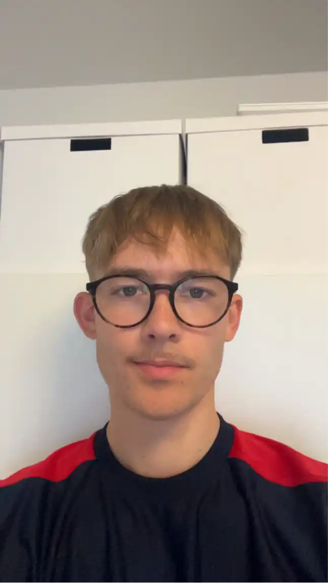 Opgaveejer for løst opgaver online